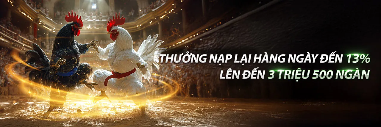 France98 App Tải Xuống
